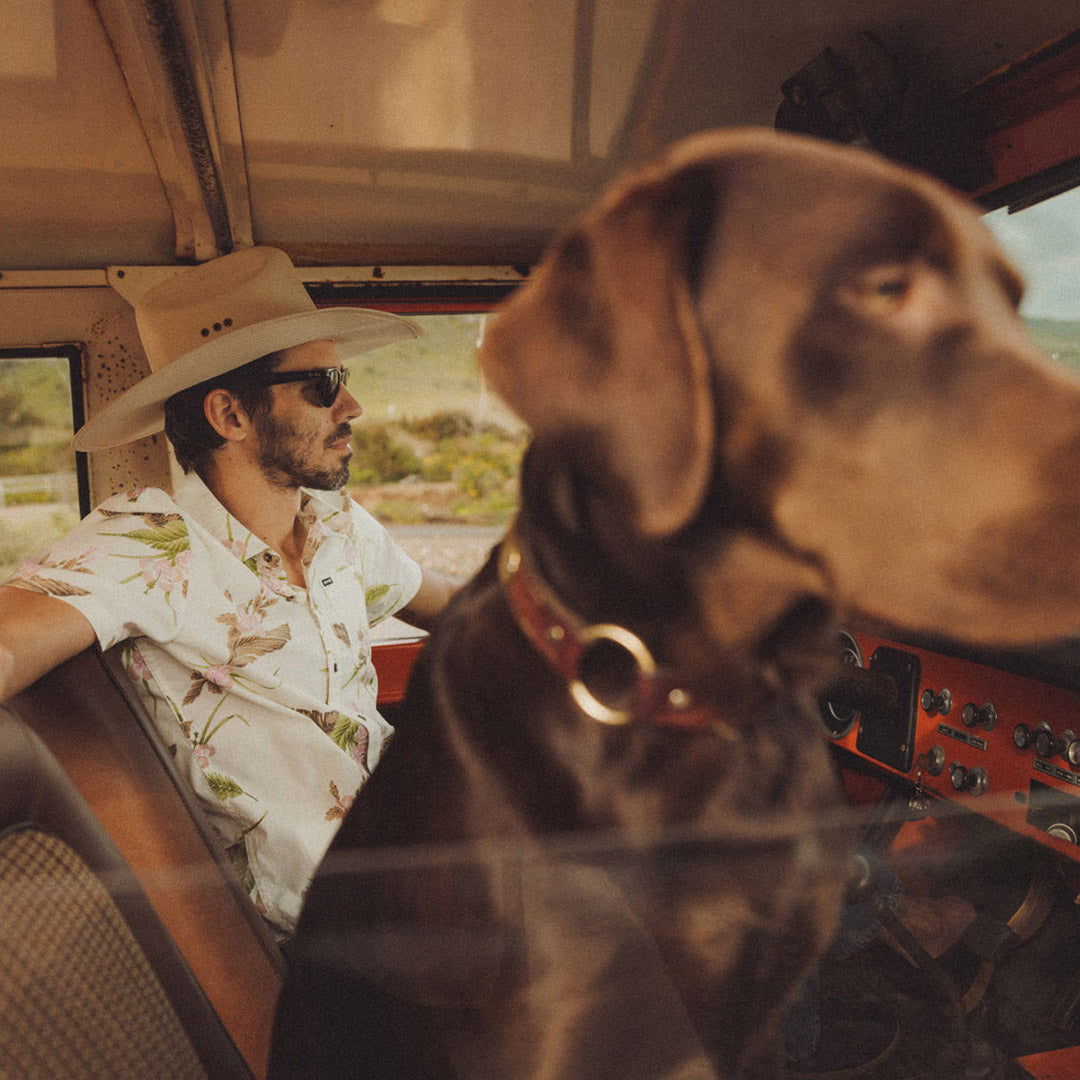 Traveling with the pup in the latest Brixton gear