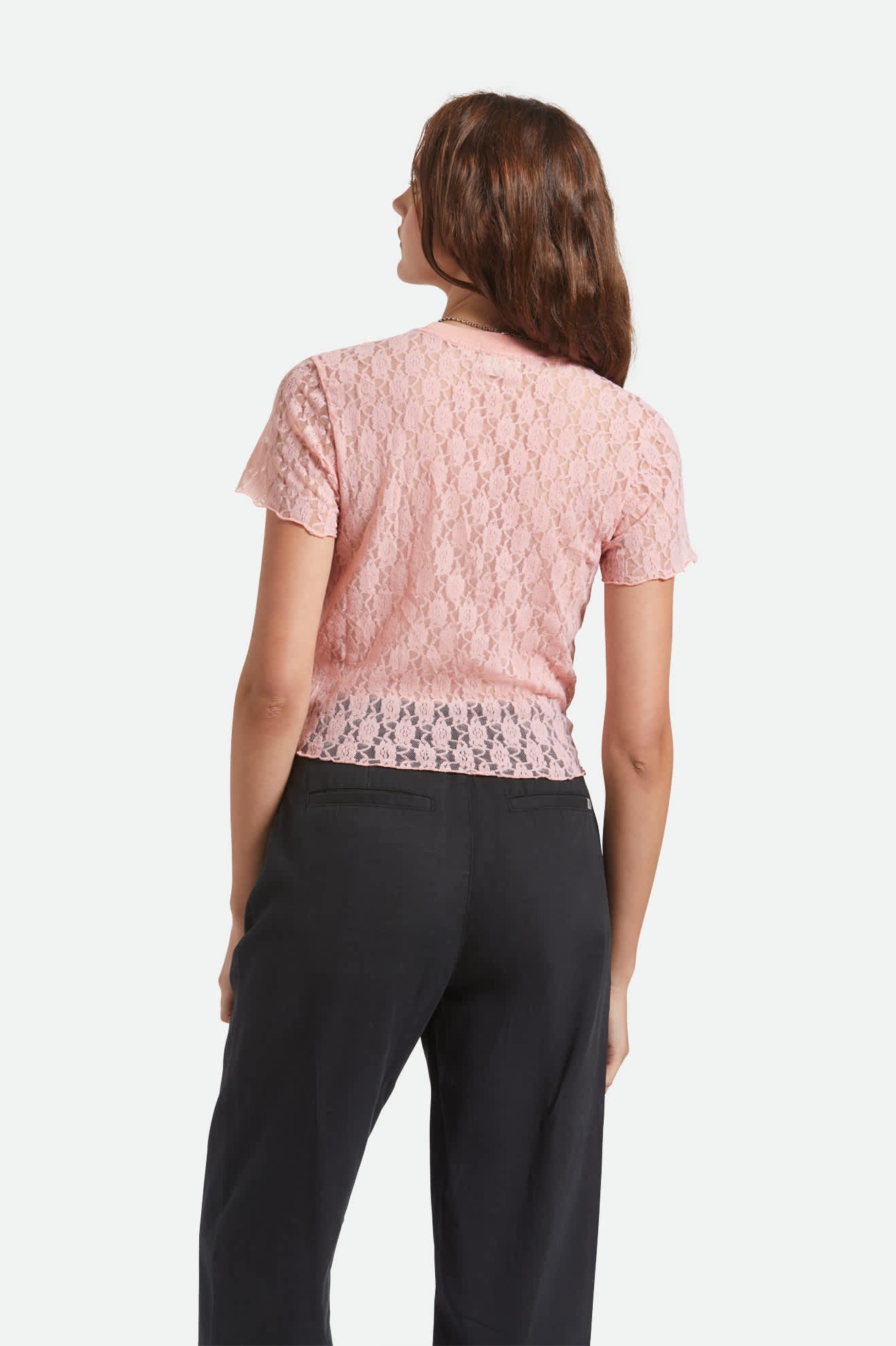 Women's Sheer Slim Lace S/S Top in the color Mellow Rose - Women's Back View