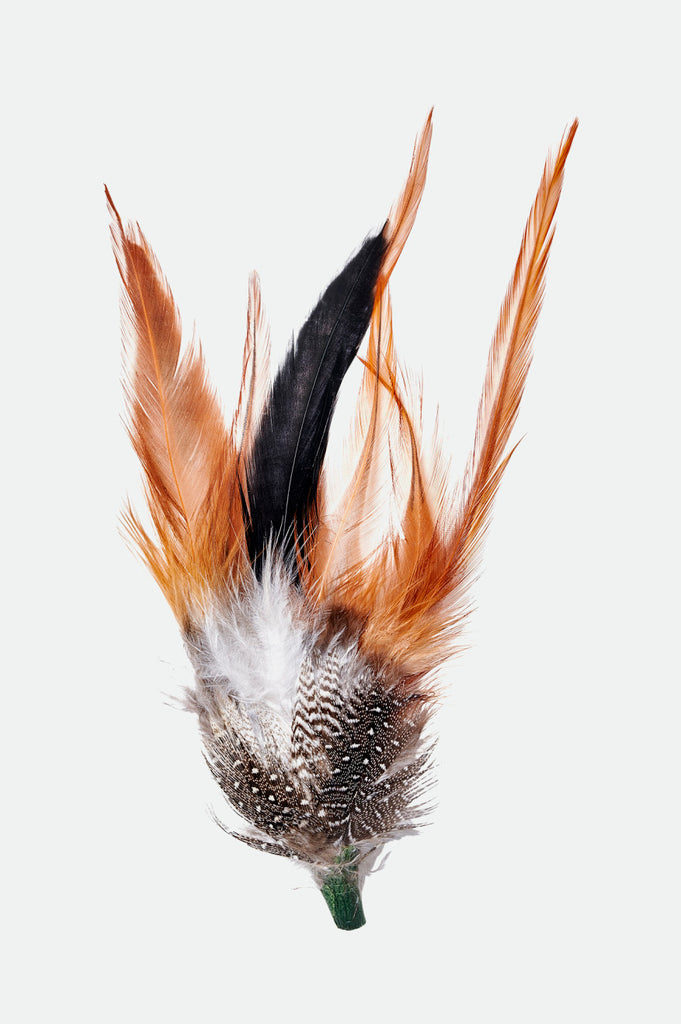 Brixton Unisex Brixton Hat Feather - Burnt Orange/Black/Mahogany | Profile