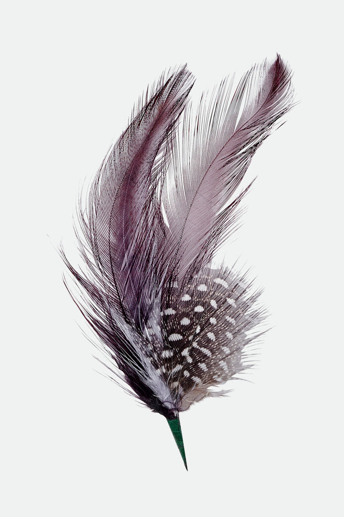 Brixton Unisex Brixton Hat Feather - Burnt Henna/Black | Profile